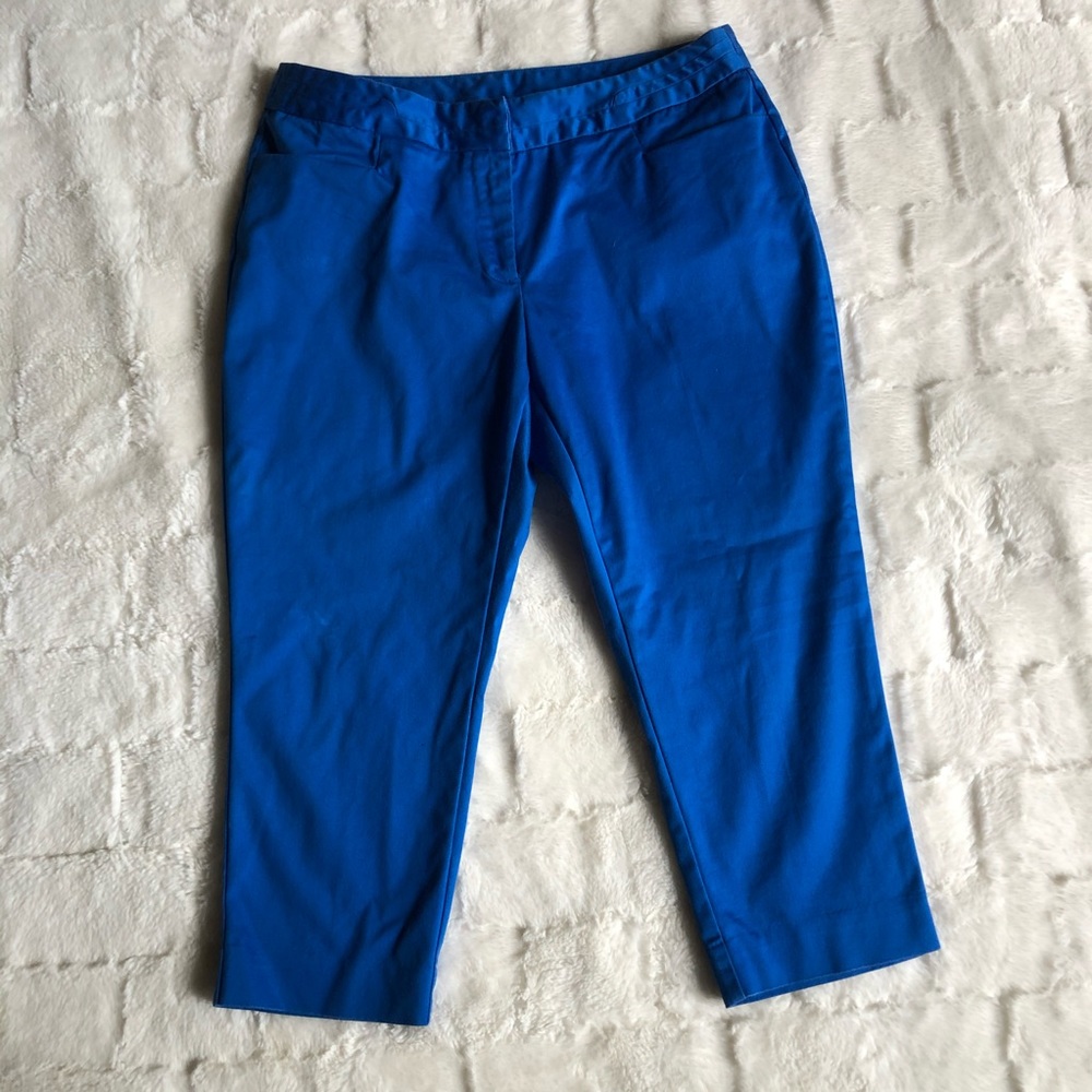Women’s Blue capris pants size 10p